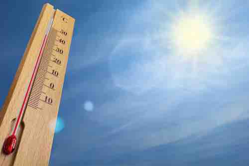 Guide expert maison fraîche canicule 2025
