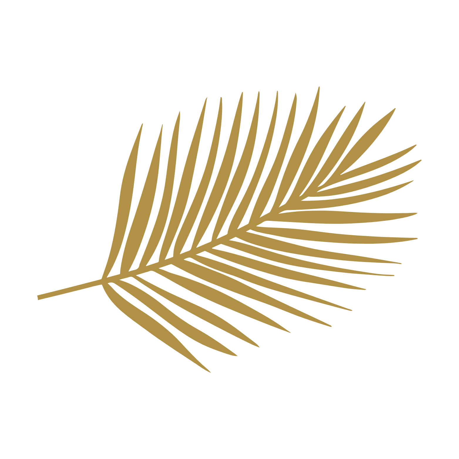 Logo RINAZUR - Feuille de palmier